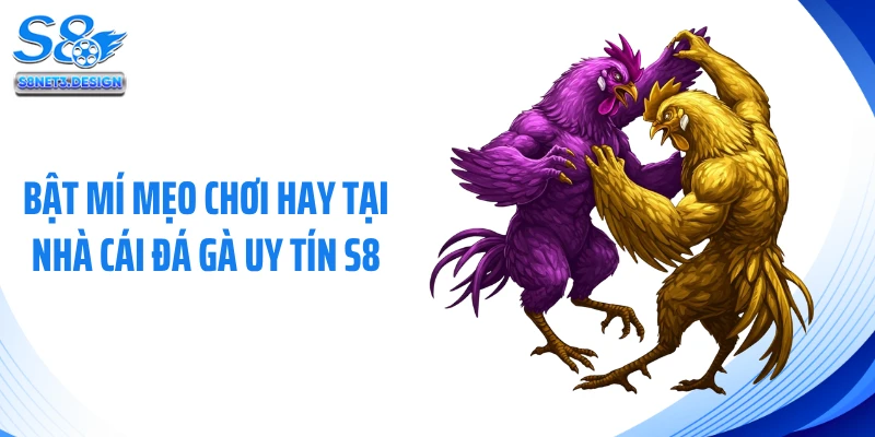 Bật mí mẹo chơi hay tại nhà cái đá gà uy tín S8